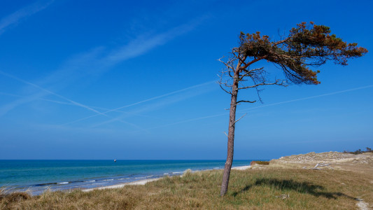 Darßer Weststrand