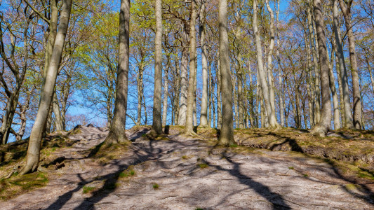 Nationalpark-Jasmund