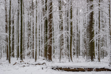 Winter im Endern